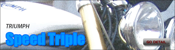 TRIUMPH SPEEDTRIPLE